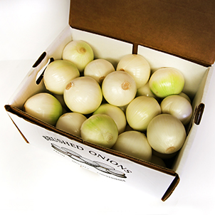 Wholesale Onion Sets | Onion Boy Inc